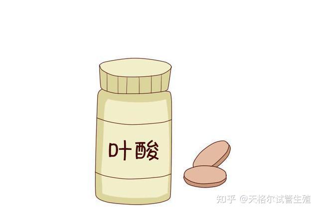 孕妇吃叶酸有什么好处(不是孕妇吃叶酸有什么好处)-第1张图片-鲸幼网