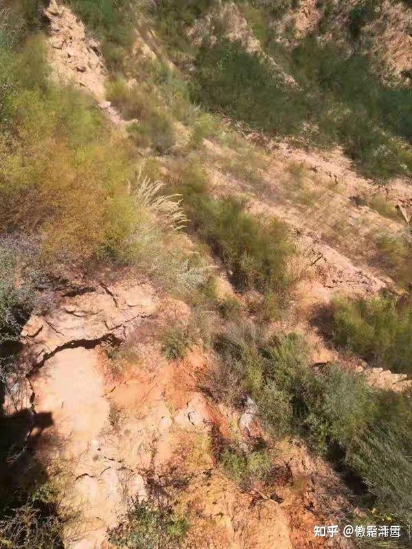 山西临县清凉寺乡包片干部郭奴虎强揽做下的豆腐渣工程