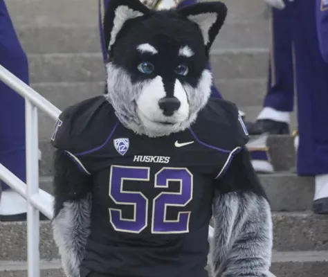 波士顿大学-rhett