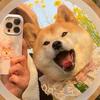 安之若素