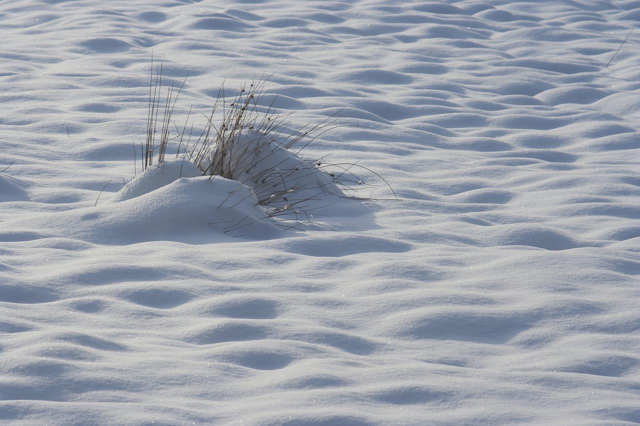 冬天太冷洗澡怎么办