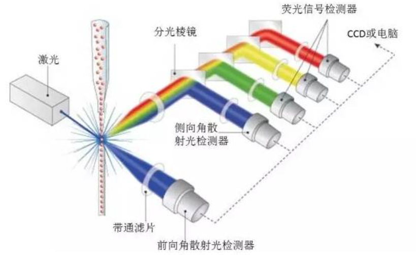 流式细胞仪种类:传统流式、全光谱流式与质谱流式 - 知乎