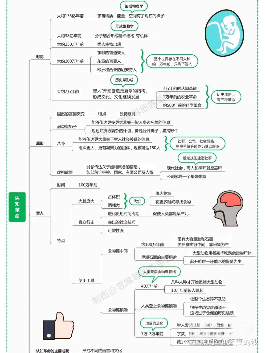 人类繁殖简易图片