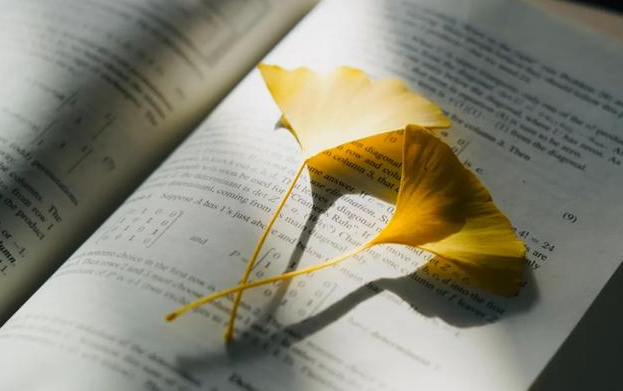 v2-fc7567fb10be7318c222c49bb4117811_1440w.jpg?source=172ae18b