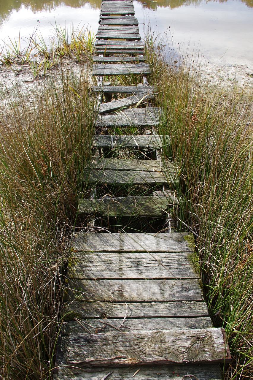 3. 竹材纹理之美