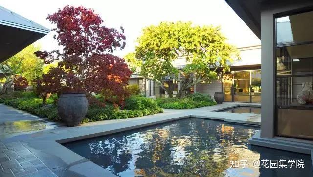 庭院种树真的很简单？不不不，其实大有说法~ - 知乎