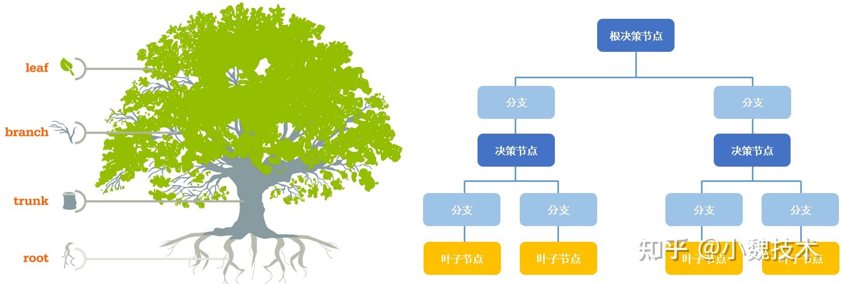 机器学习——决策树模型 - 知乎