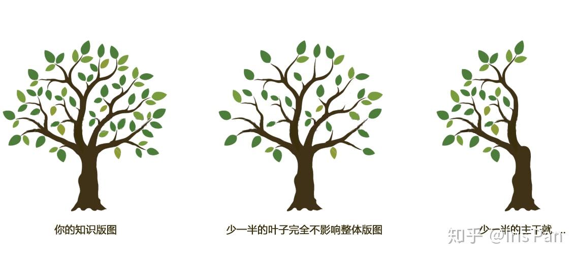 超强的学习能力是怎样练就的? 超强的学习能力是怎样练就的?
