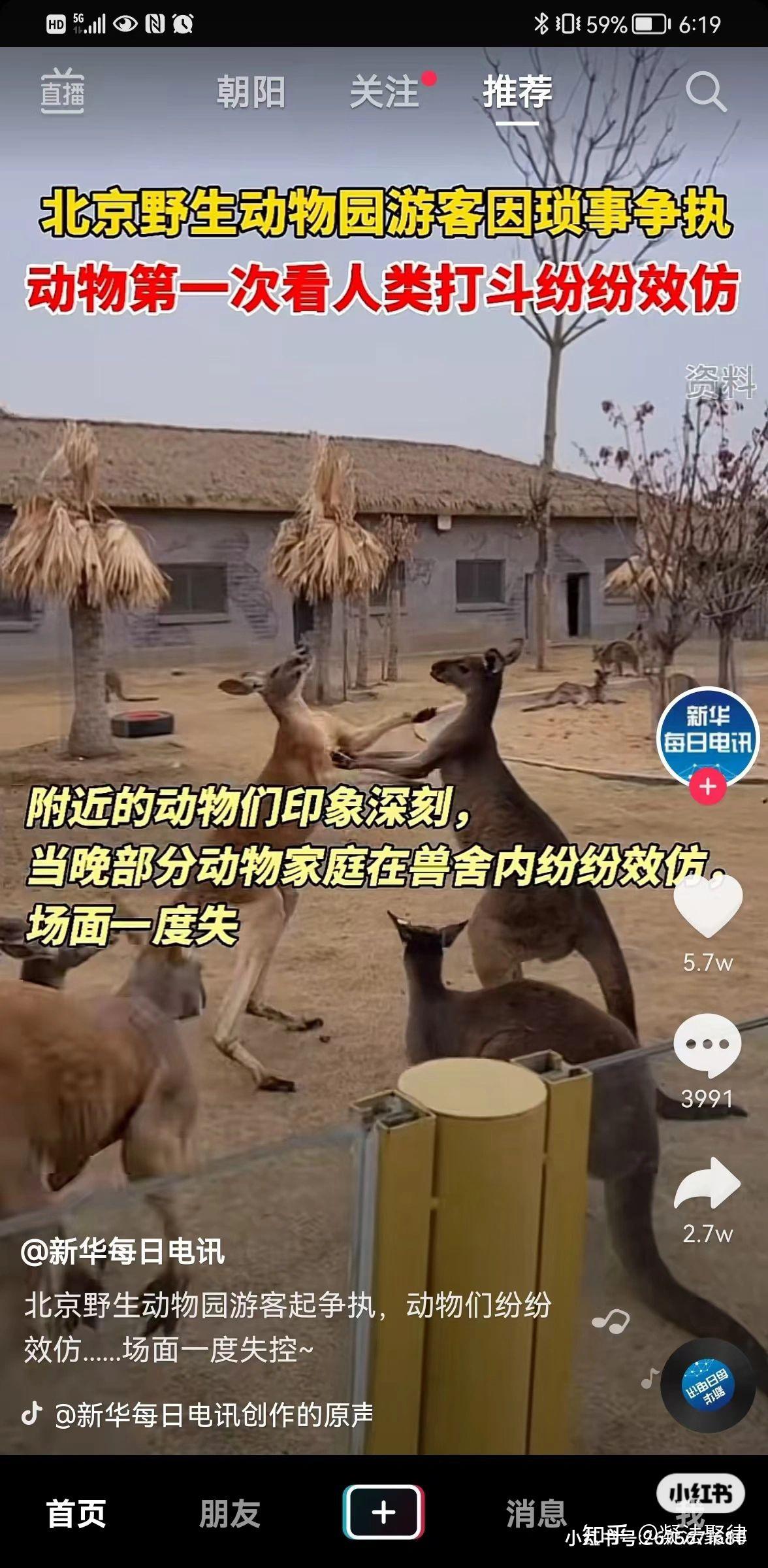 87北京野生动物园人类迷惑行为