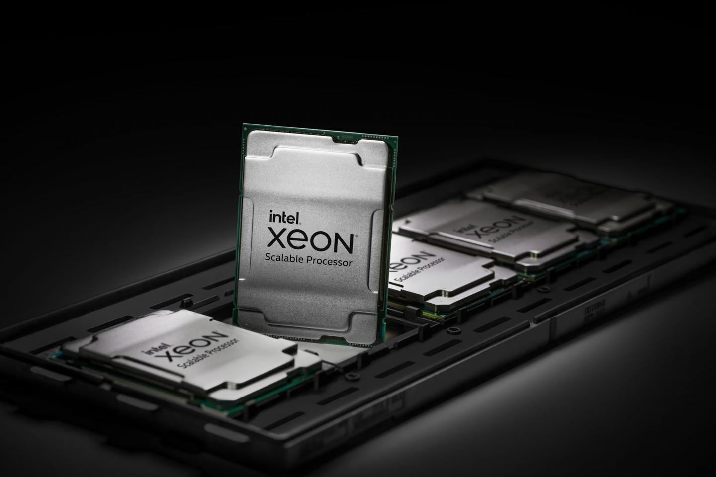 狼 真的来了 速评intel 全新服务器cpu产品icelake Sp 知乎 狼 真的来了 速评intel 全新服务器cpu产品icelake Sp 知乎