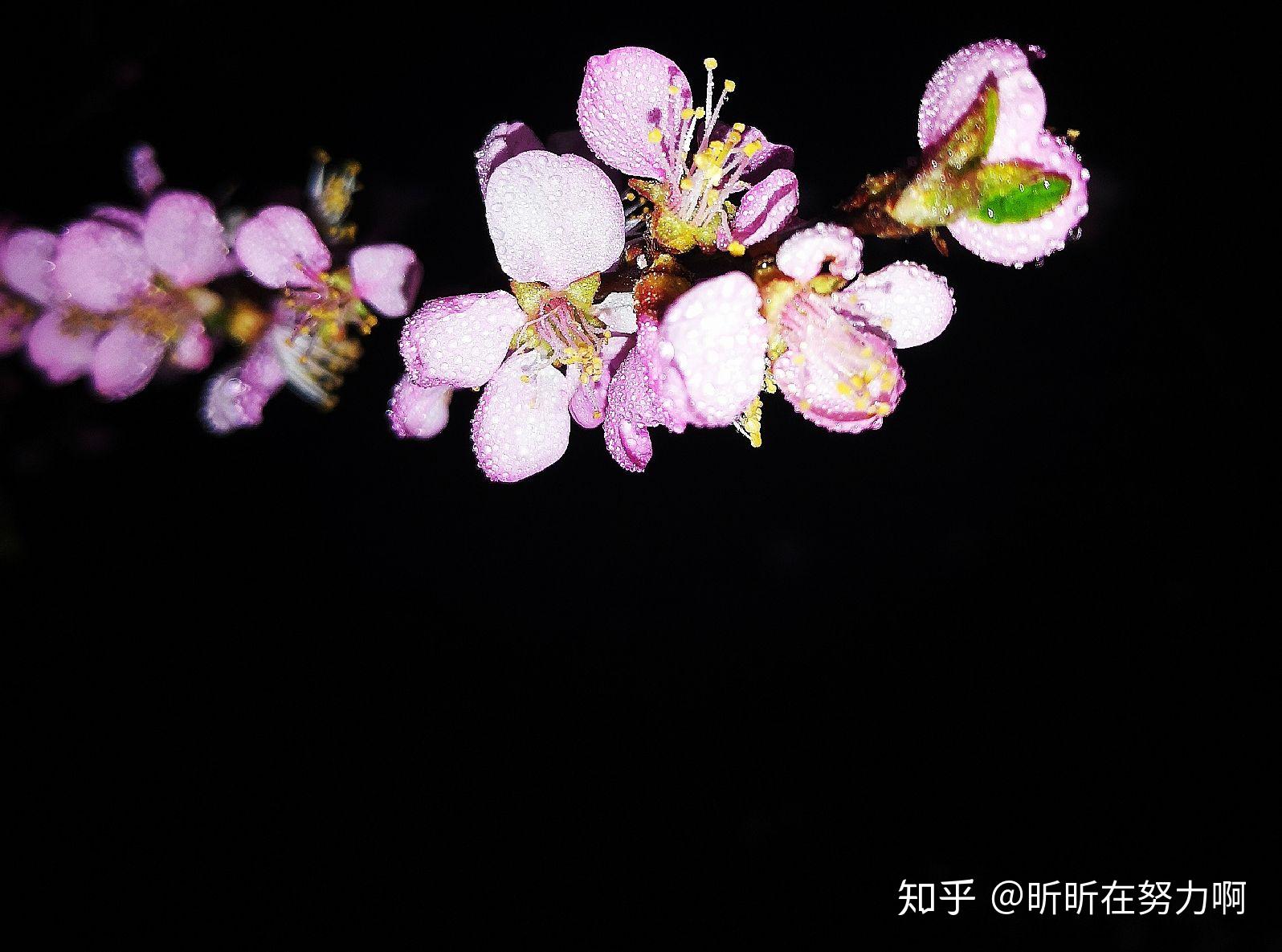 v2-fc9142c3753252deb6dd82615ebbd594_r.jpg
