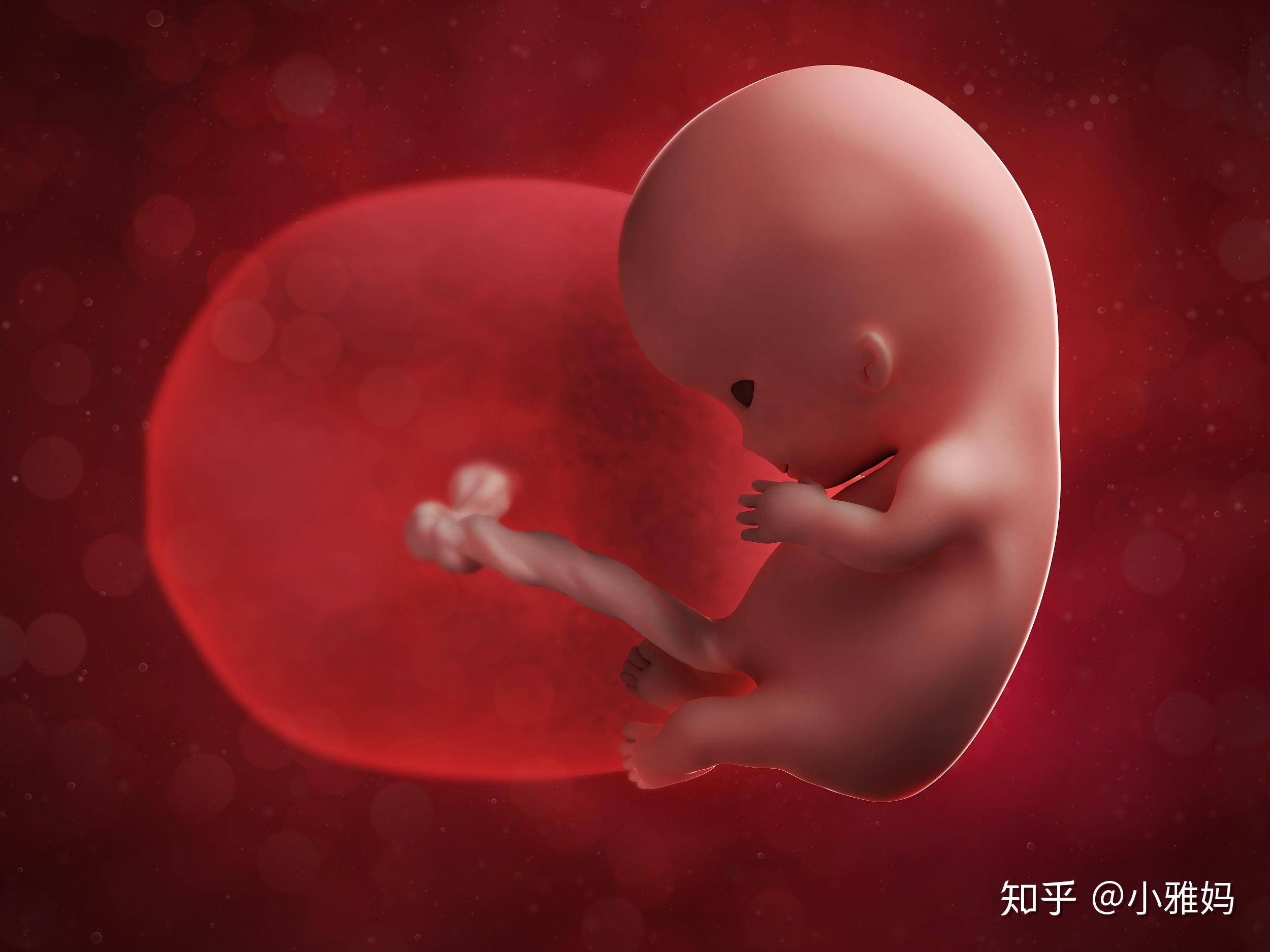 宝宝的胎盘该如何处理?有必要保存吗?