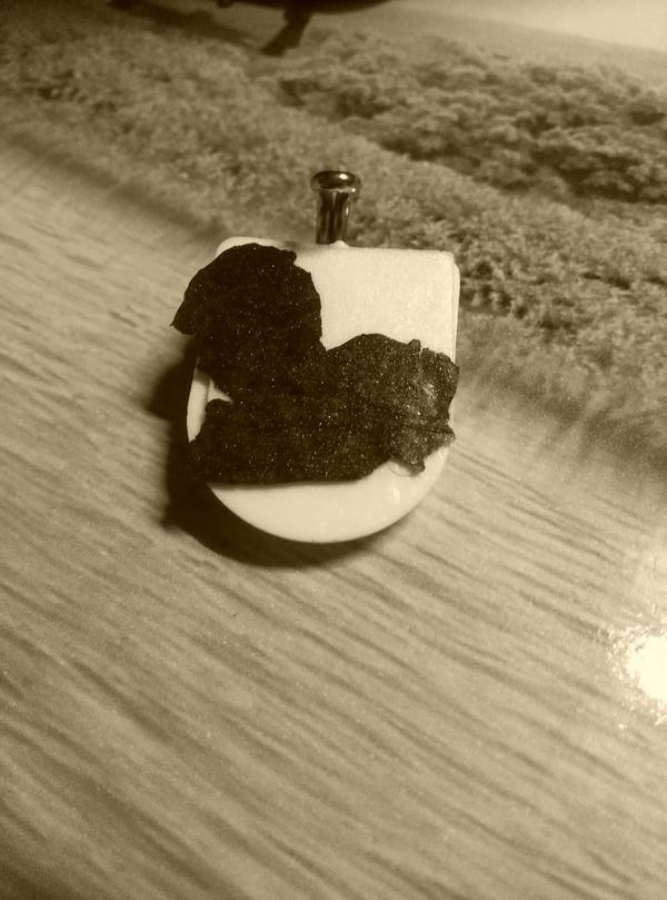 宿舍床边的粘钩掉了   ω     粘了块略残缺的心下来(°з°)