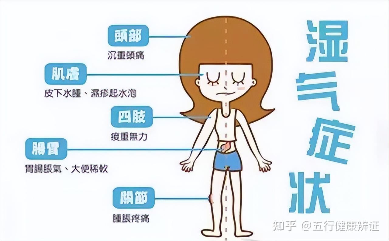 身体无故发胖,是因为脏腑不通吗?中医教你一招,疏通脏腑经络 - 知乎
