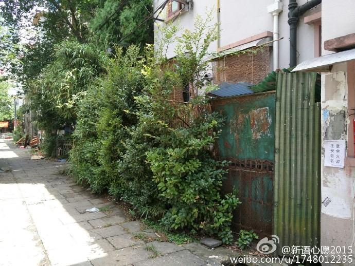 梦见过世的父亲给我盖房子，父爱如屋，梦境中的传承与慰藉