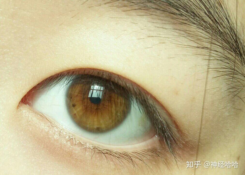 中国人眼睛颜色淡棕色图片