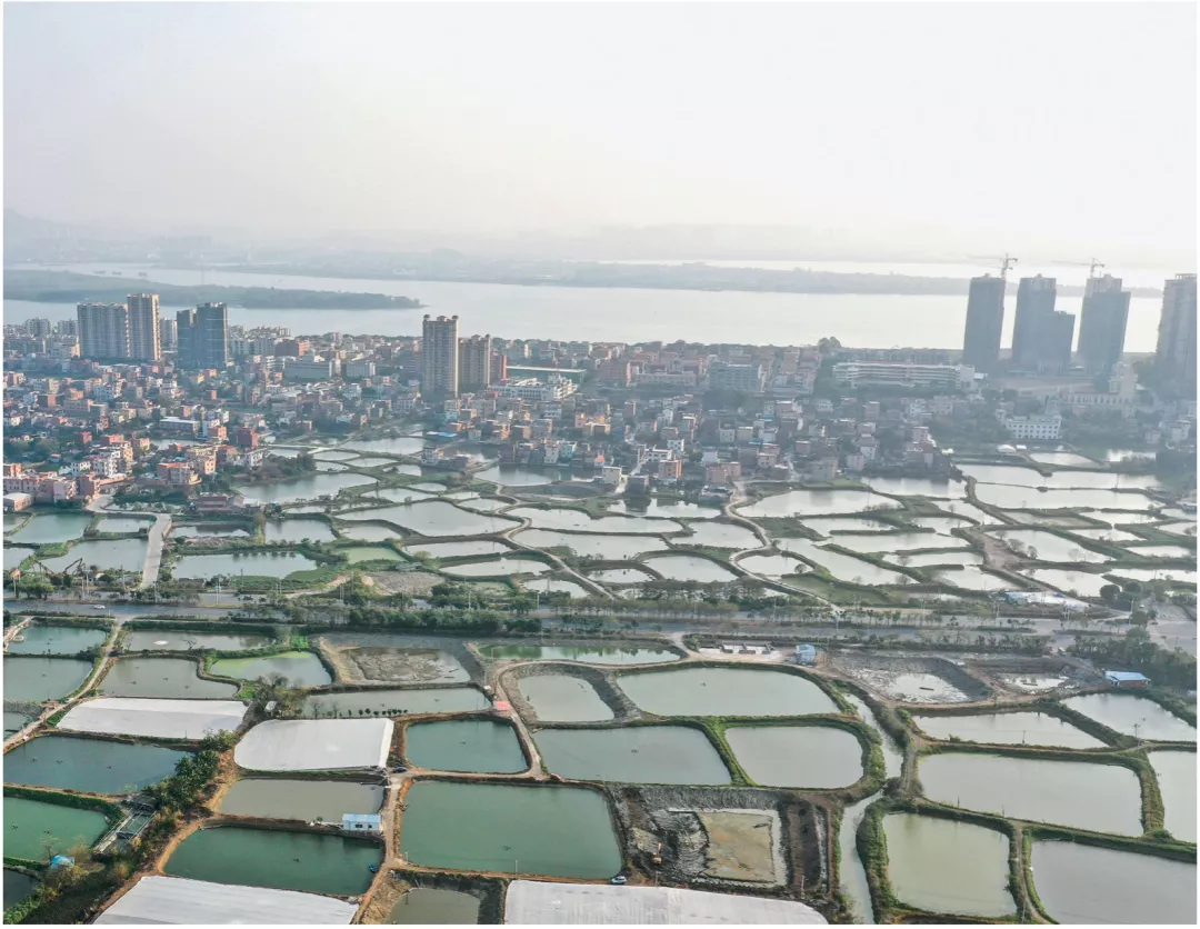 08 usgs本文是在研究珠三角基塘景观历史与当代