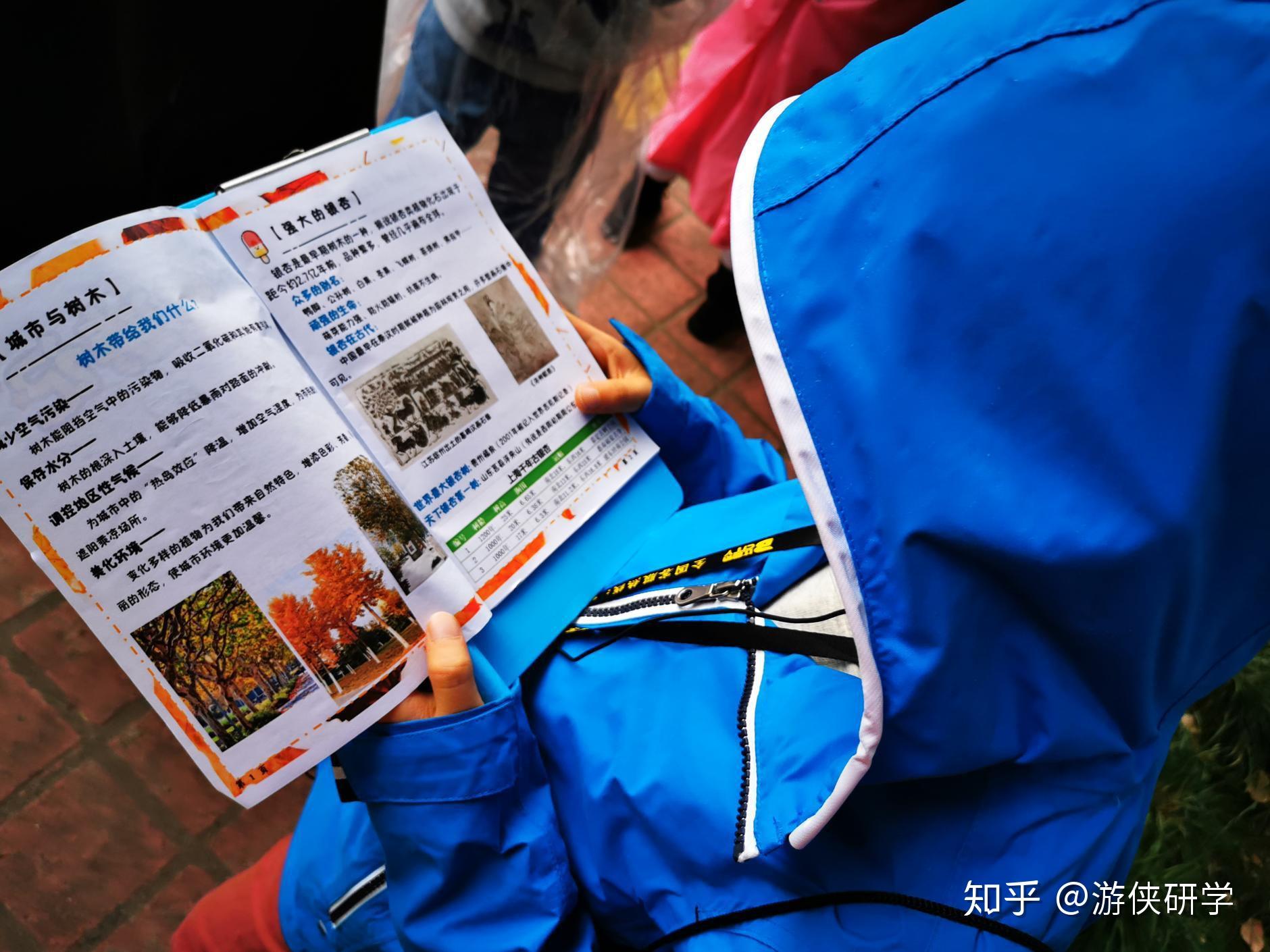 游侠研学倾听千年古银杏的秘密游侠客