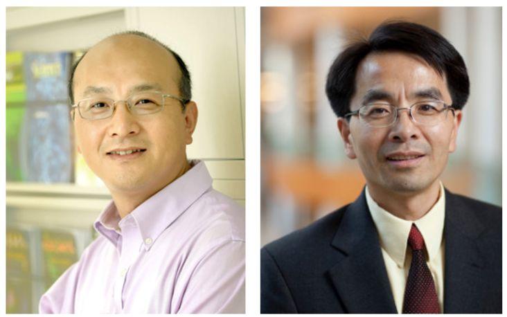 cell丨许瑞明张志国合作组解析催化h3k56乙酰化的分子机制李晴教授