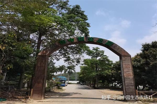 深圳凤凰山周边农家乐适合野炊部门团建活动的好地方