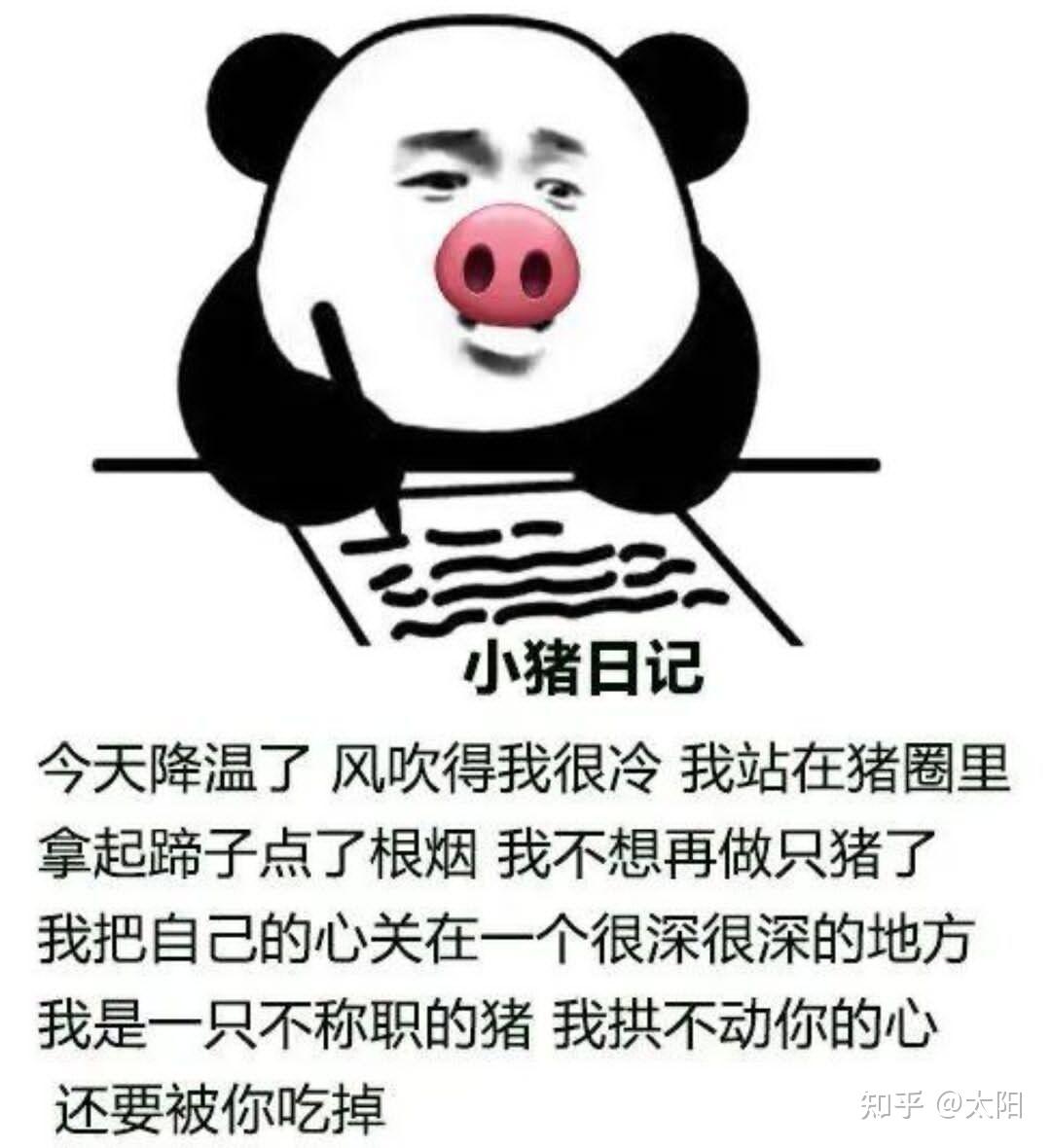 大家有可怜中透着一丝丝搞笑的舔狗语录吗