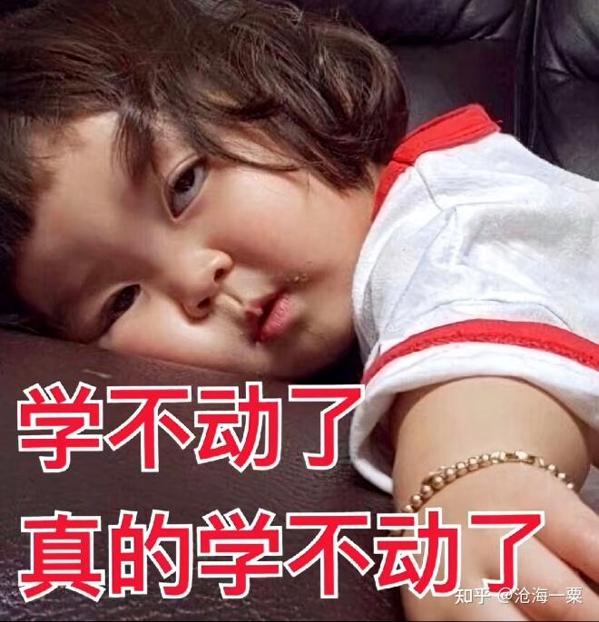 不想学习了想打工怎么办? - 知乎