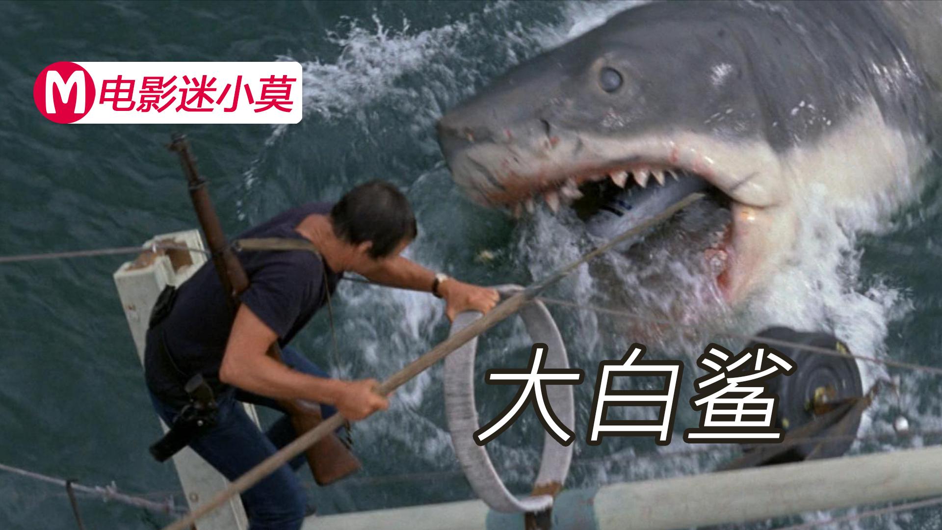 凶残食人鱼被放出实验室,2分钟就能把身体吃得只剩骨头 电影《食人鱼