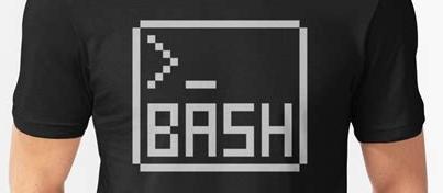 Bash编程入门 1 Shell与bash 知乎