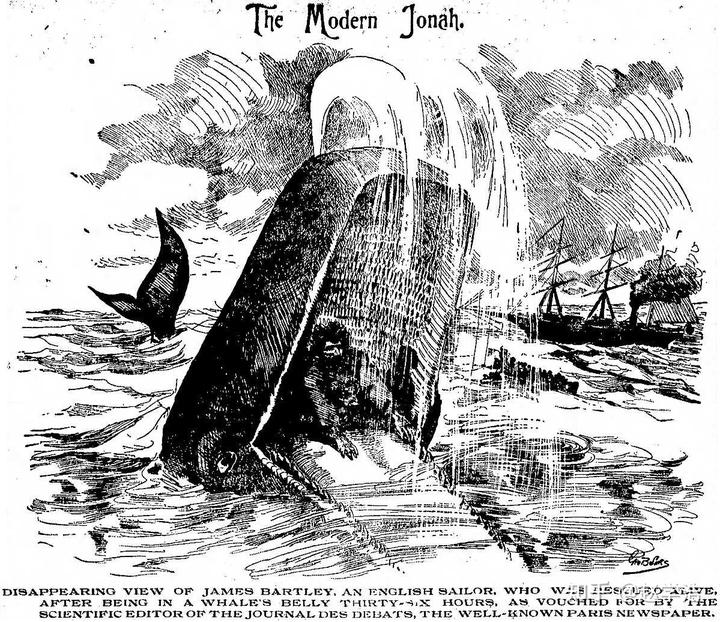 有氧潜水被鲸类吞下后是否还有自救可能?