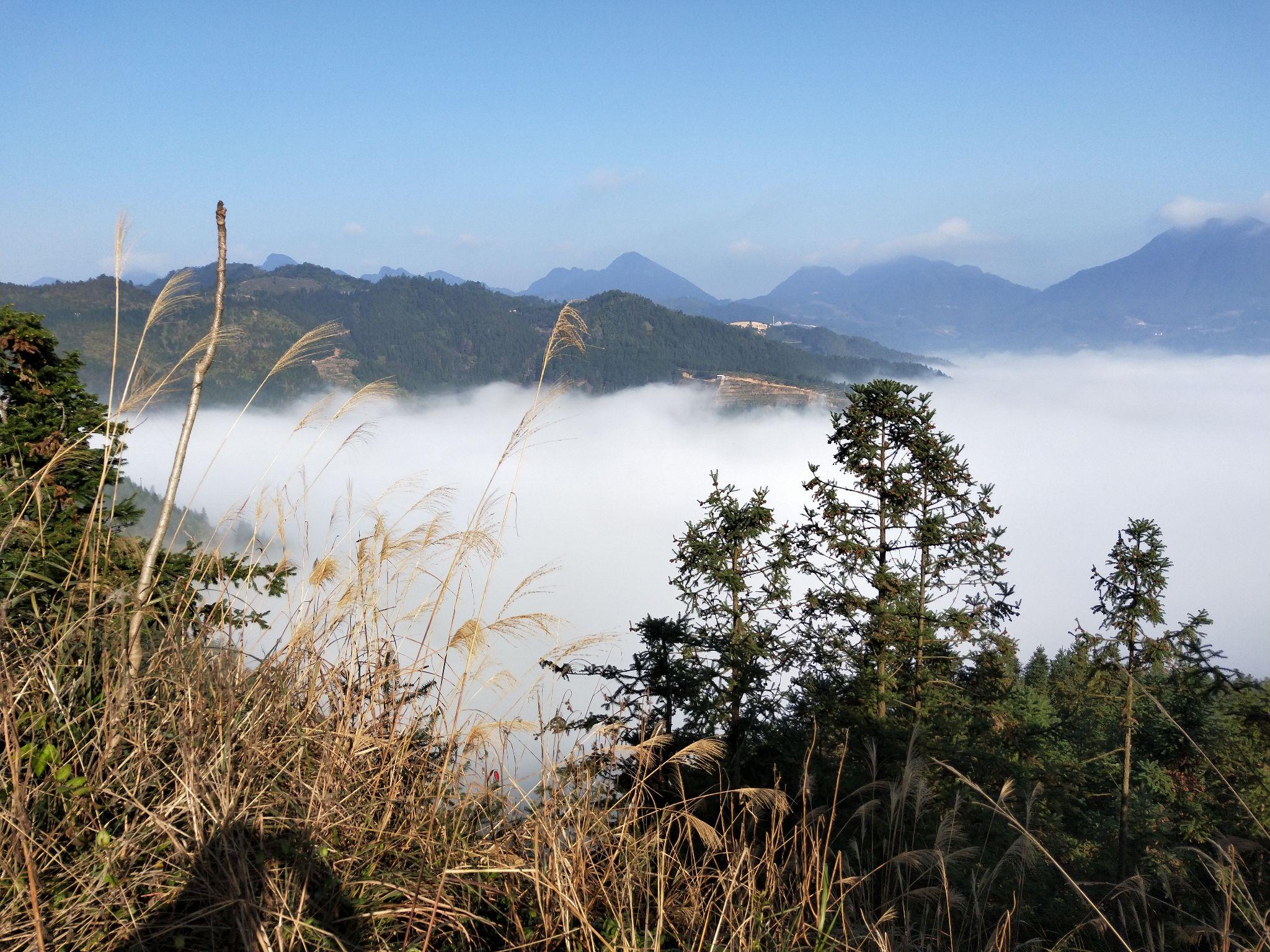 哪里可以看到这种连绵群山? - 知乎