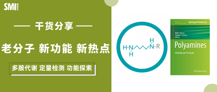 干货分享丨多胺的功能和检测 - 知乎