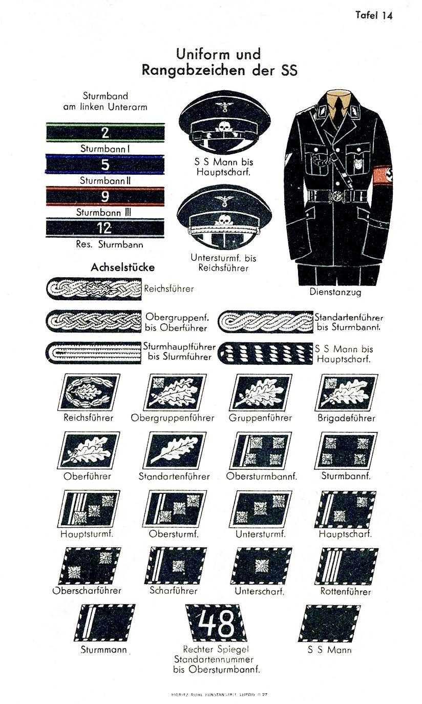 38人赞同了该文章 提起纳粹德国的武装党卫军