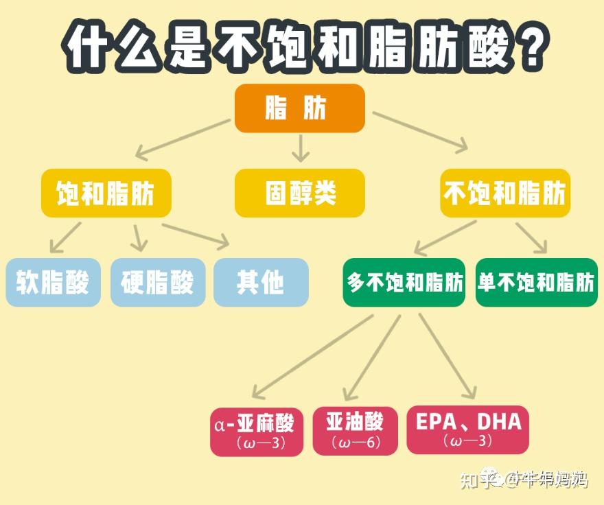辅食油里面添加的不饱和脂肪酸含量非常高,不饱和脂肪酸中的亚麻酸和