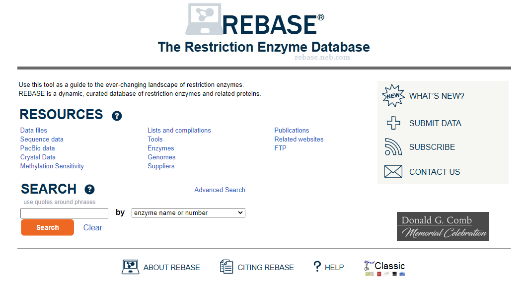 Rebase 