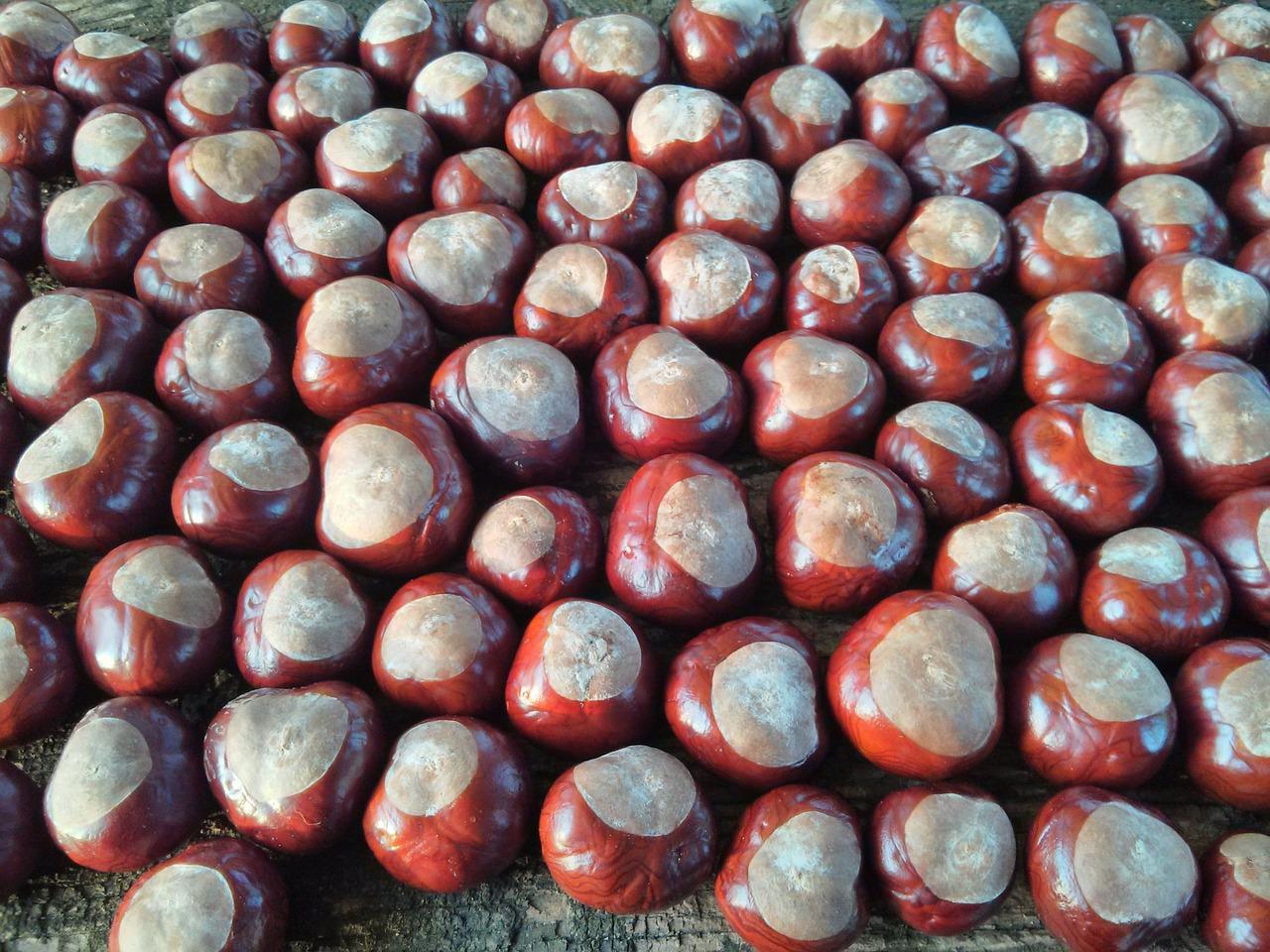 4. 栗色墙面应用