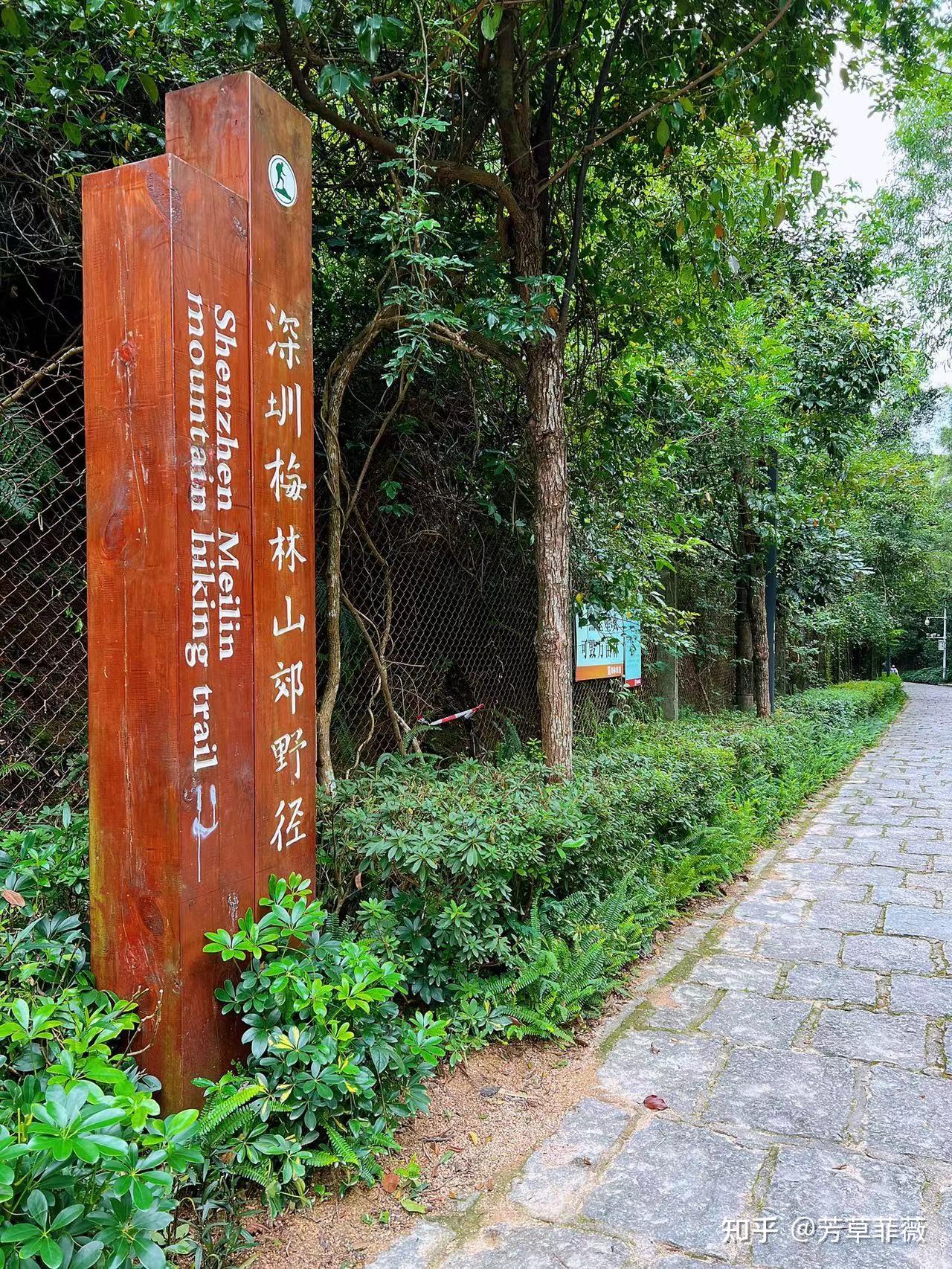 2025周末深圳好去处,深圳绿道徒步(持续更新中~) - 知乎