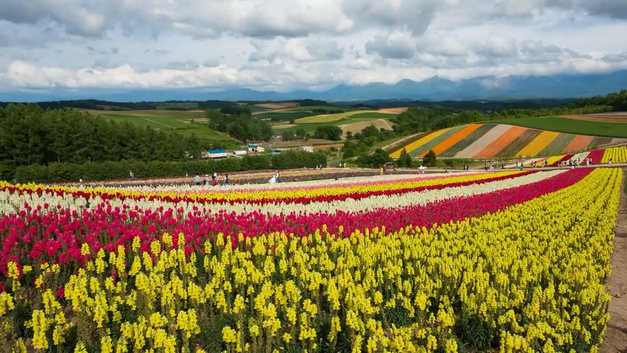 北海道風景7