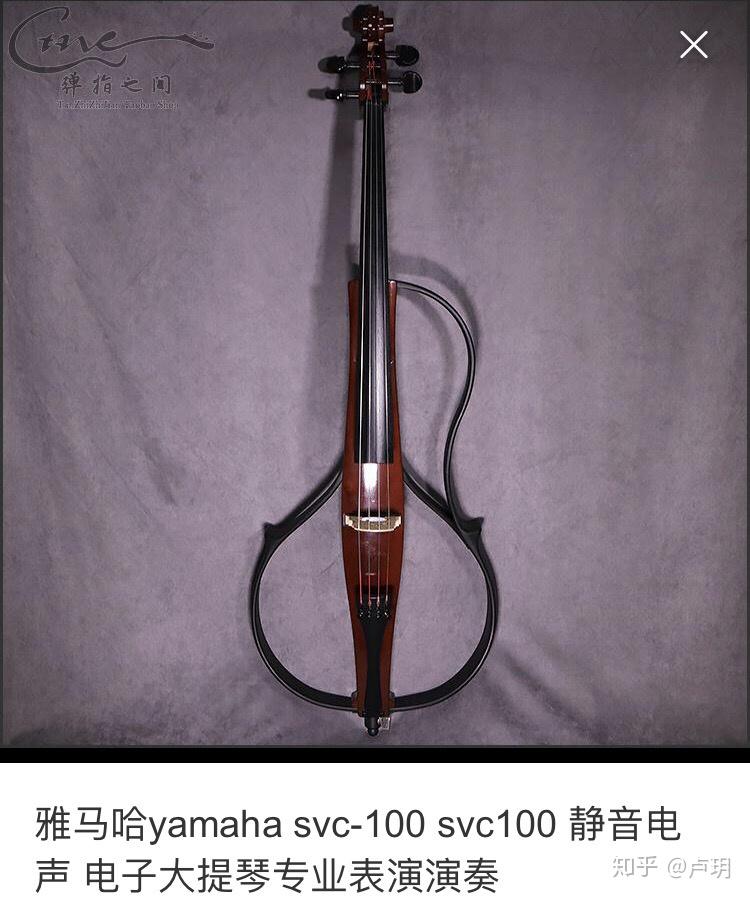 这个大提琴是什么牌子
