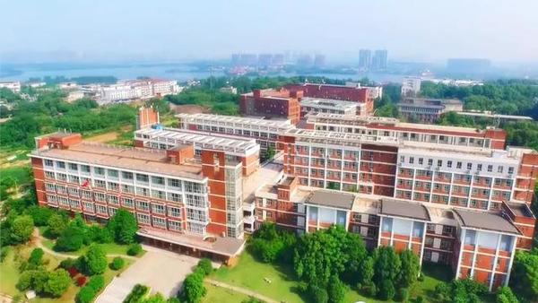 武汉外语外事学院(武汉外语外事学院官网)