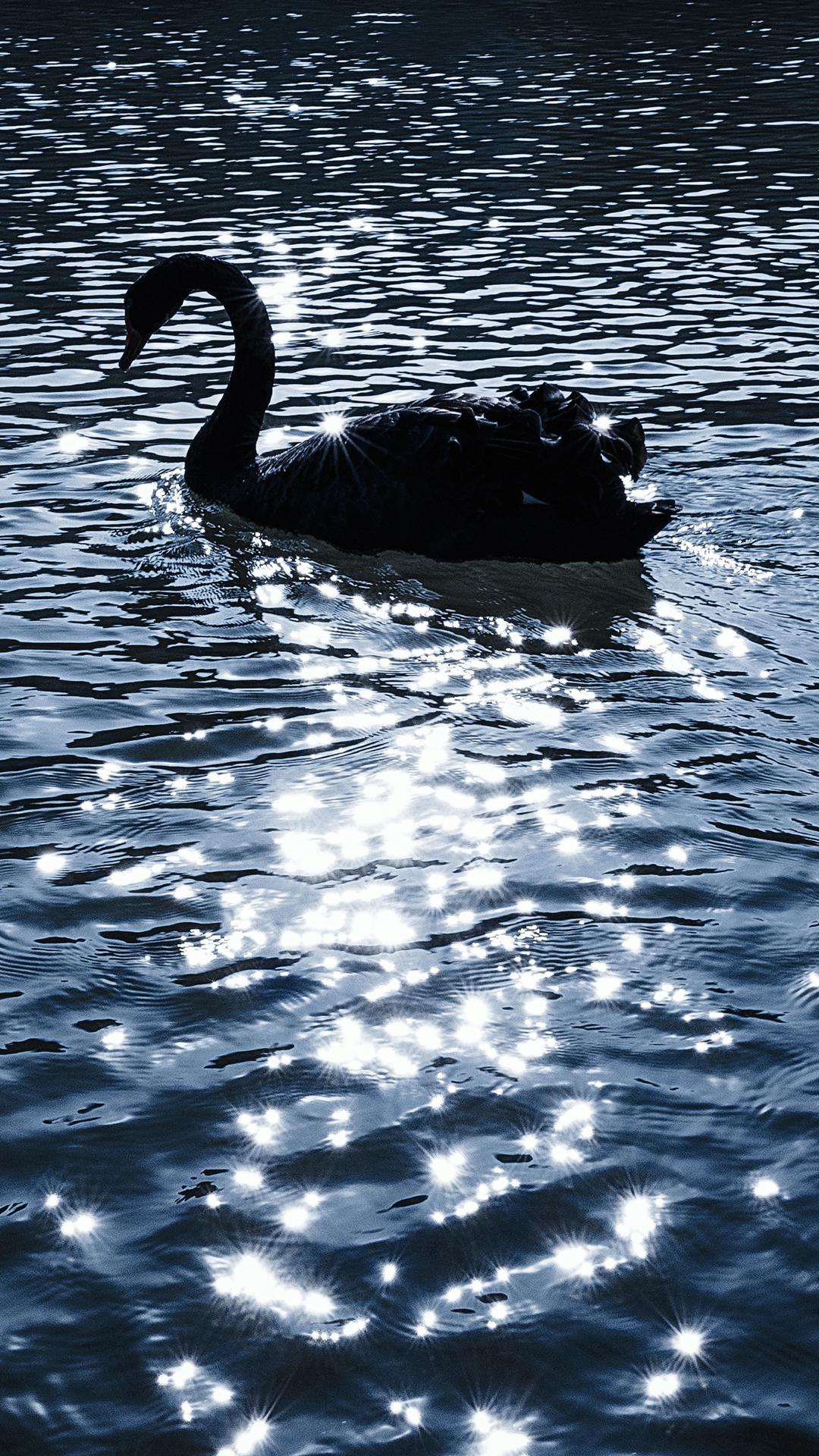 v2-fcf5f13981dd8ab28fa5f3ea02def9ac_r.jpg