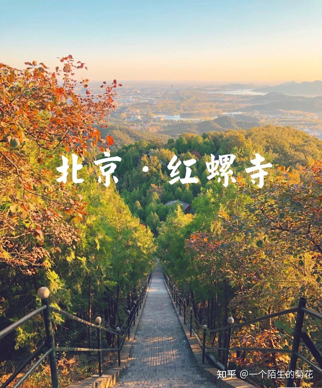 路線推薦為御竹林—五百羅漢園—健康路—嶺上長廊—觀音寺—中天門