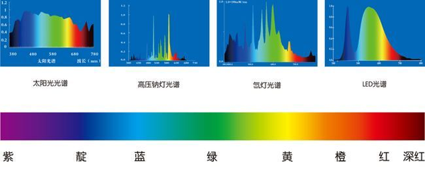 卤素灯光谱与太阳光图片