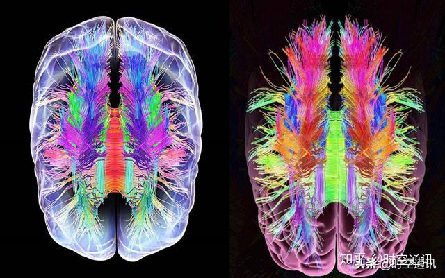 不过生物电不像常规电力能那样传输,而是有特别的运行机理.