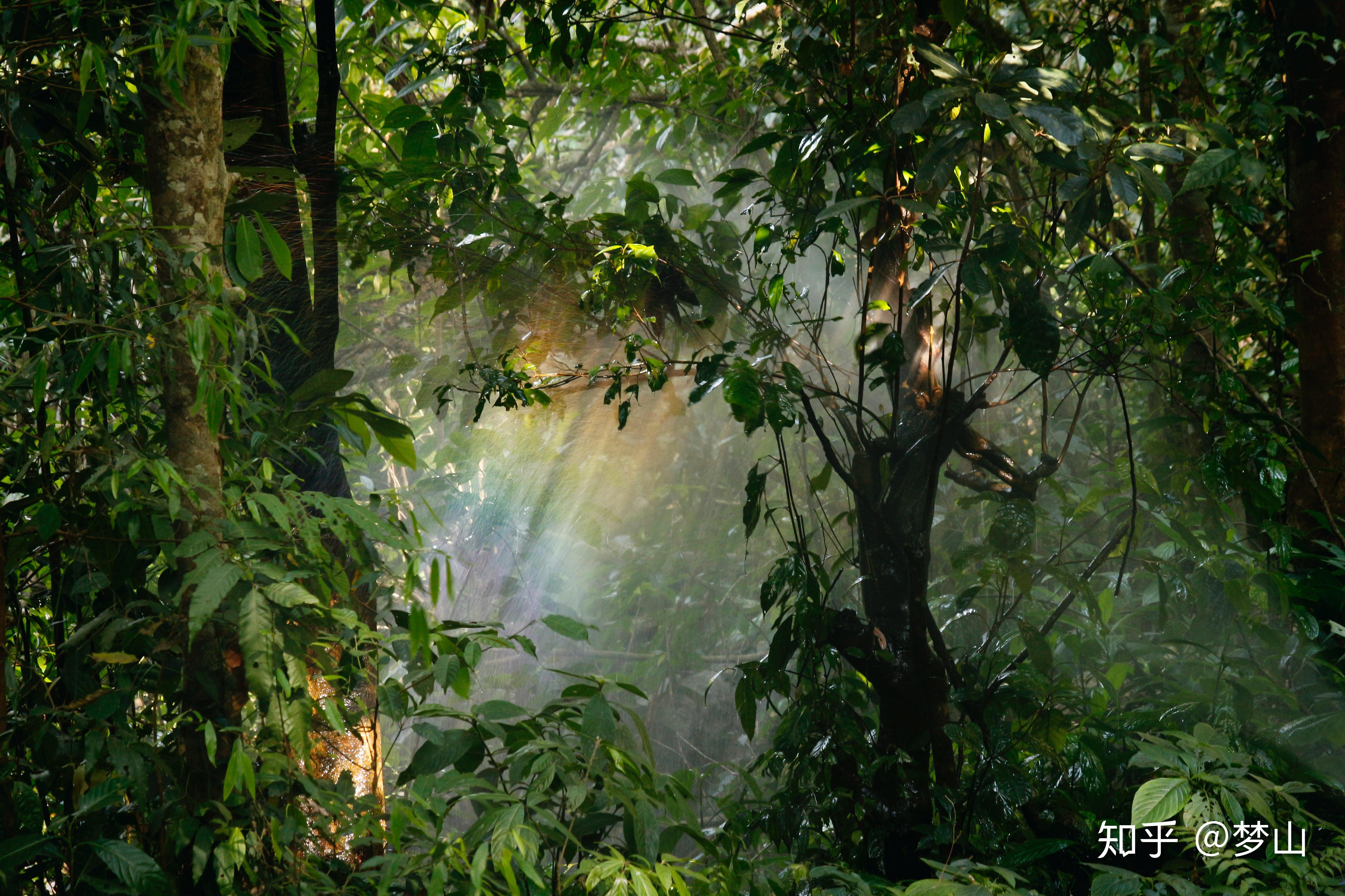 一般都是上个世纪50,60年代的产物,都位于人迹罕至的地方,多年无人看