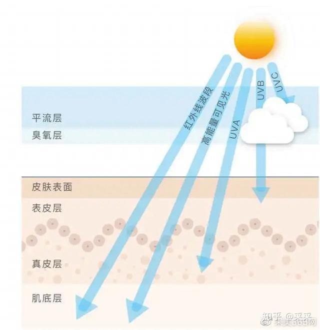 61 红外线的热辐射效应使皮肤温度升高, 增加表皮水分蒸发,抑制胶原