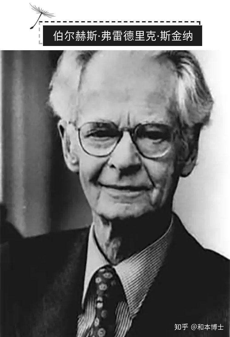 斯金纳凡是强化其结果都是行为概率的增加