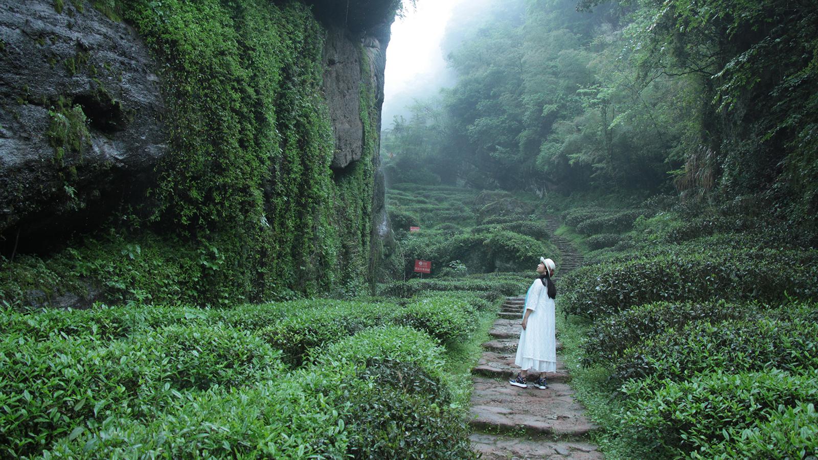 武夷山有什么好玩的?