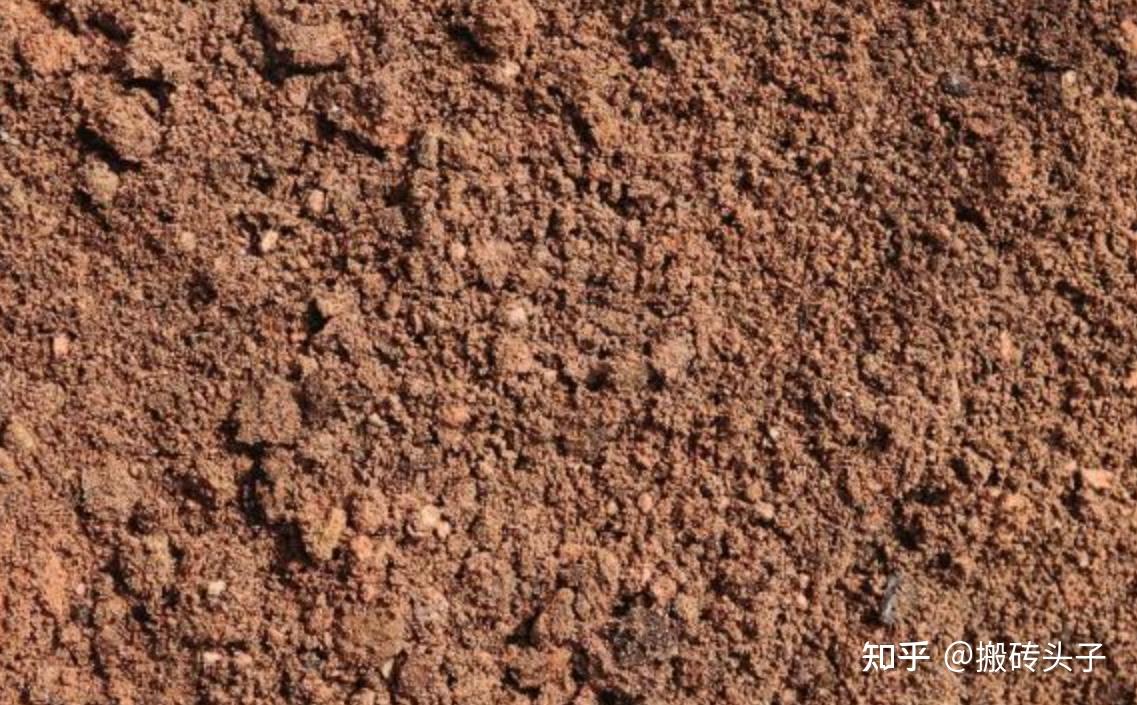 粉质粘土软塑层的特点