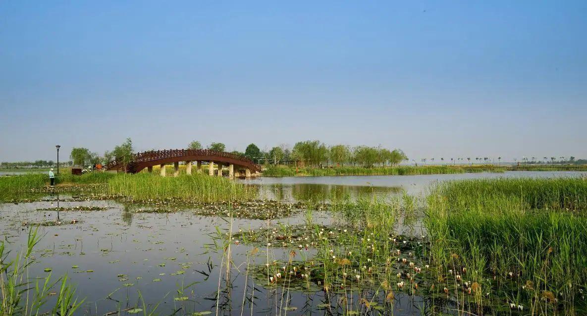 衡水湖位于河北省衡水市,拥有丰富多样的湿地植被景观,水天一色的湖泊