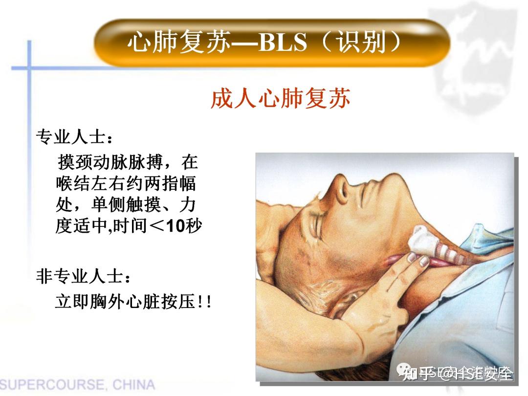 PPT |【课件】新版心肺复苏课件 - 知乎
